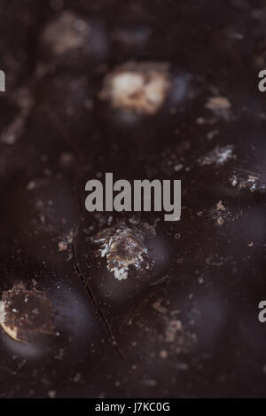 Close up of a cracked dark chocolate bar with hazelnut Stock Photo