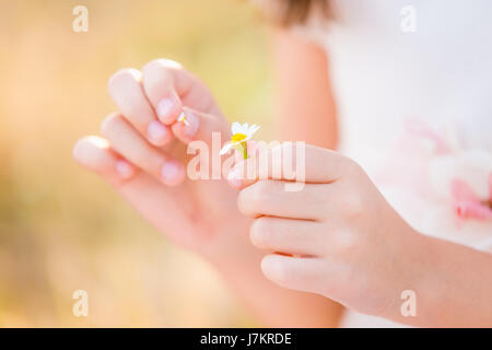 Little girl holding and playing with a daisy flower in the field.