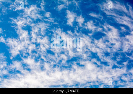 Cute Cirrus clouds in the blue sky picture perfect Stock Photo