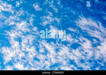 Cute Cirrus clouds in the blue sky picture perfect Stock Photo