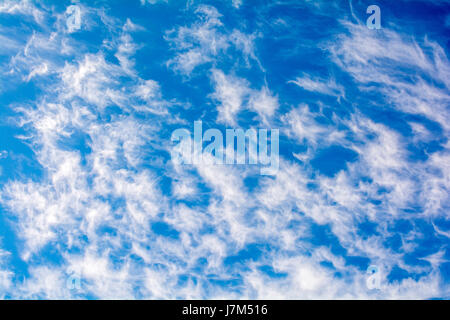 Cute Cirrus clouds in the blue sky picture perfect Stock Photo