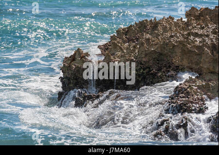 Caribbean sea waves crashing onto the iron shore of tropical costline in Mexico. Deserted Riviera Maya landscape with rough rocks, lush green palm tre Stock Photo