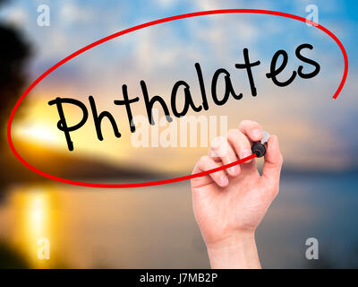 Man Hand writing  Phthalates  with black marker on visual screen. Isolated on background. Business, technology, internet concept. Stock Photo Stock Photo