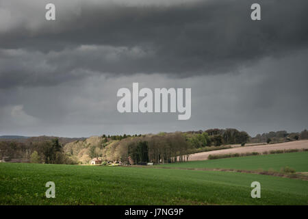 Beautiful agricultural English countryside landscape during early Spring morning Stock Photo