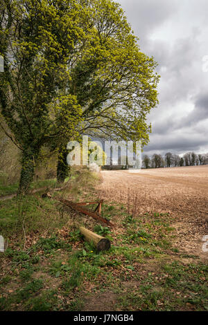 Beautiful agricultural English countryside landscape during early Spring morning Stock Photo