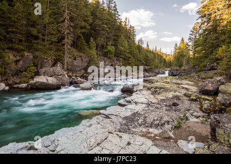 rushing water brook stream current gorge montana glacier garden wall landscapes forest trees alpine stream Stock Photo