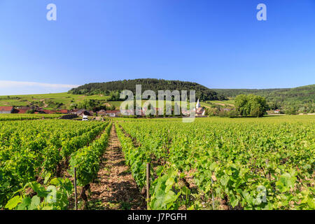 France, Cote d'Or, Burgundy region, Auxey-Duresses, the village and vineyard Stock Photo