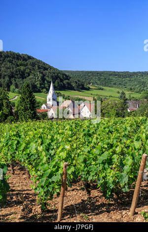 France, Cote d'Or, Burgundy region, Auxey-Duresses, the village and vineyard Stock Photo