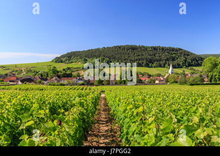 France, Cote d'Or, Burgundy region, Auxey-Duresses, the village and vineyard Stock Photo