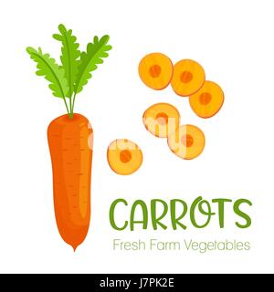 Cartoon vegetable collection 14633983 Vector Art at Vecteezy