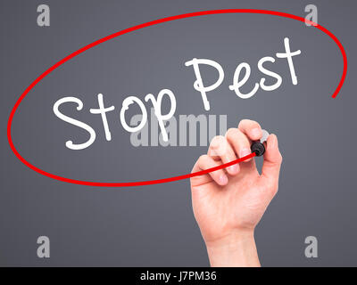 Man Hand writing Stop Pest with black marker on visual screen. Isolated on background. Business, technology, internet concept. Stock Photo Stock Photo