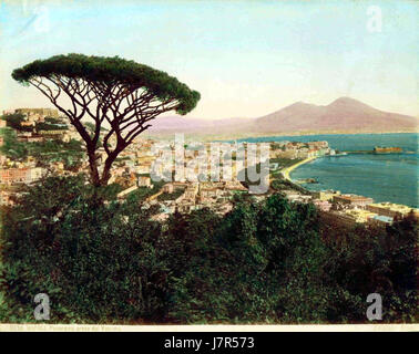 Brogi, Giacomo (1822 1881)   n. 5110   Napoli   Panorama preso dal Vomero (colorizzata) Stock Photo