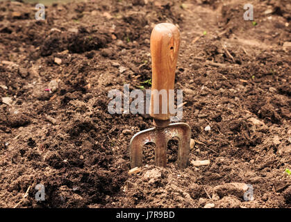Closeup garden rake dug into garden soil Stock Photo