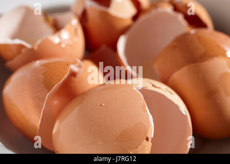 broken egg shells Stock Photo