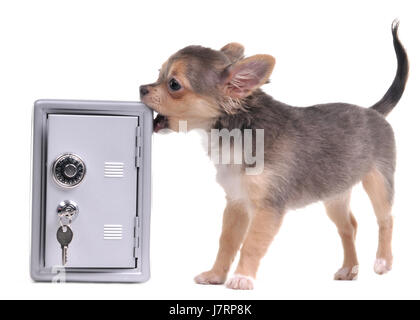 bank lending institution game tournament play playing plays played isolated Stock Photo