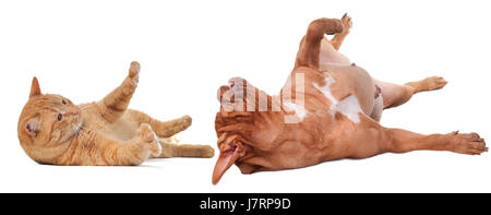 friendship game tournament play playing plays played isolated emotions fight Stock Photo