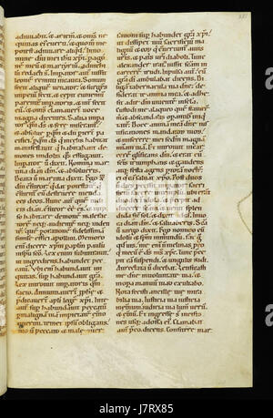 Codexor Book Format A codex is an ancient manuscript text, often in book form, that was ...