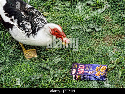 Pictorial Art-Image The English Lake District, The Lake District National Park Stock Photo