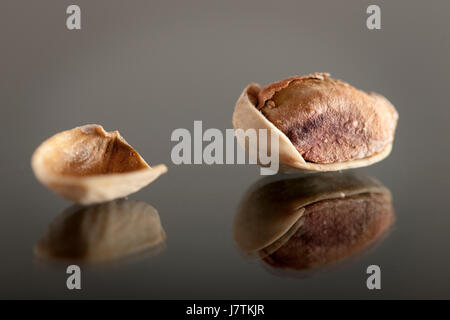 Open pistachio on a glass plate with adjacent shell. Stock Photo