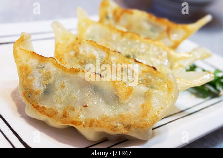 Gyoza  or Japanese Fried Dumplings on white plate with selective focus point Stock Photo