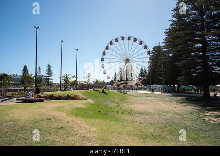 Fremantle,WA,Australia-November 13,2016: People relaxing in Esplanade Park with skate park and ferris wheel in downtown Fremantle, Western Australia. Stock Photo