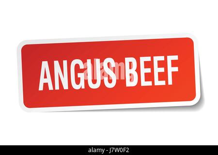 angus beef square sticker on white Stock Vector