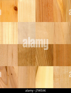 This collection of 16 wood samples represents various types of wood, each showcasing distinct characteristics such as grain patterns, texture, and color. These samples are often used in wood identification or for educational purposes in material science. Stock Photo