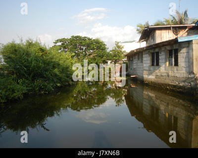 09926 Malolos River Districts City Nipa trees Bulacan Landmarks  21 Stock Photo