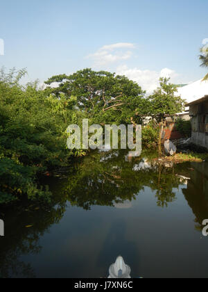 09926 Malolos River Districts City Nipa trees Bulacan Landmarks  22 Stock Photo