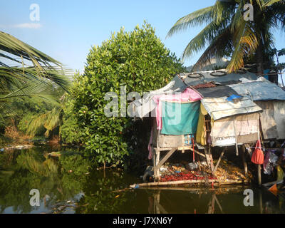 09926 Malolos River Districts City Nipa trees Bulacan Landmarks  33 Stock Photo