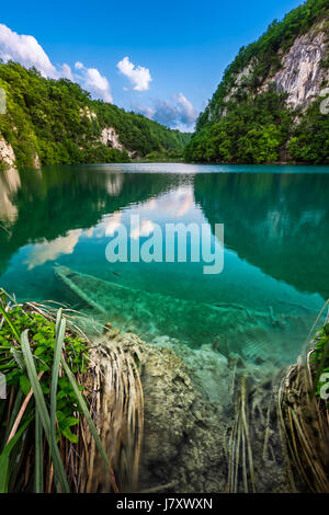 Sunk Boat in Plitvice Lakes National Park in Croatia Stock Photo