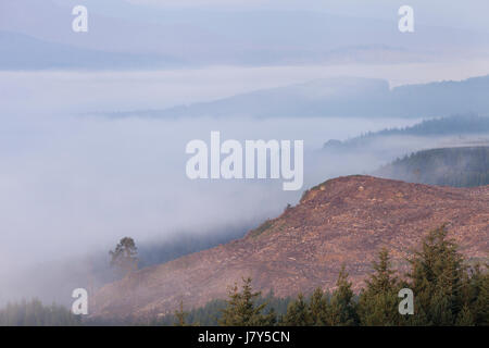 Panoramic view of Loch Garry at sunrise covered by morning mist/cloud inversion on a peaceful summer's morning.