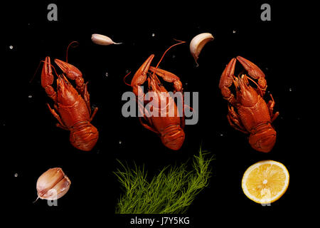 Three boiled crayfishes with sea salt, garlic, lemon and dill isolated on black background Stock Photo