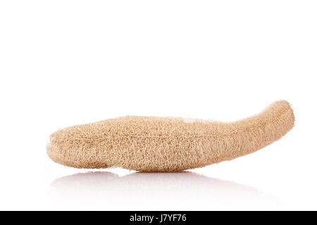 Dry Luffa, luffa sponge. Studio shot isolated on white background Stock Photo