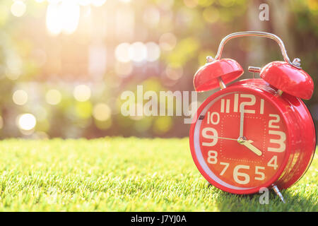 Close up red alarm clock on green grass with sunlight blur and bokeh background in morning time Stock Photo