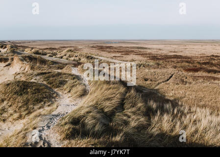 Sand dunes and high grass in Denmark Stock Photo