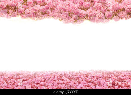 Falling petal over the romantic tunnel of pink flower trees / Romantic Blossom tree over nature background in Spring season / flowers Background Stock Photo