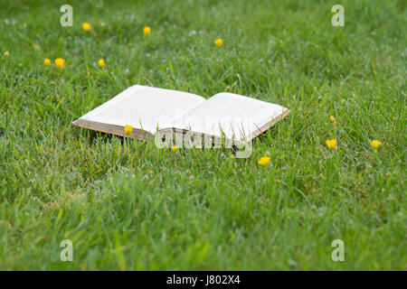 open book on grass lawn Stock Photo