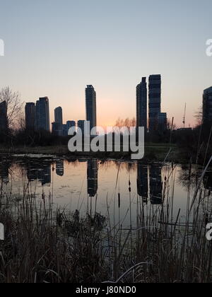 High rise buildings showing real estate growth in Humber Bay area by Toronto, Ontario, Canada. Stock Photo