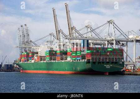 ROTTERDAM, NETHERLANDS - MAR 16, 2016: Container ship Thalassa Tyhi moored at the ECT container terminal in the Port of Rotterdam. Stock Photo