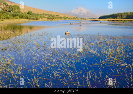 Ireland,County Donegal, Clady River with Mount Errigal in the distance. Stock Photo