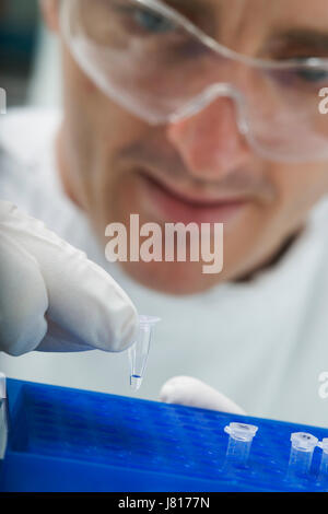 Loading a tube of DNA into a PCR (polymerase chain reaction ...