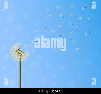 A lot of seeds escape from a dandelion flower on blue sky background. Vector illustration, breaking free, life journey concept . Stock Vector