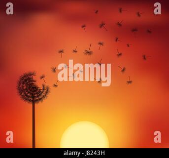 Silhouettes of seeds escape from a dandelion flower on the twillight sky background. Vector illustration symbolizing a breaking free, life journey Stock Vector