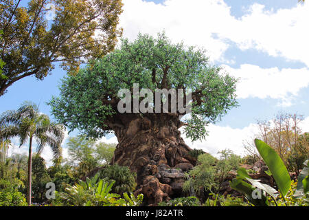 The Tree of Life at Disney's Animal Kingdom in Florida Stock Photo