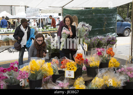 Spring flowers on sale at the Grand Army Plaza Farmers Market in Brooklyn, NY. Stock Photo