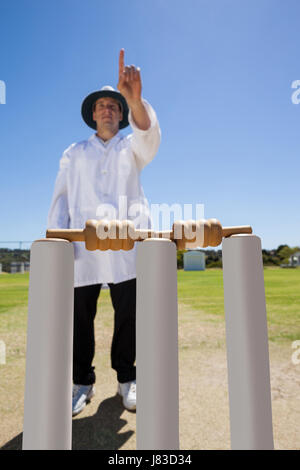 Full length of umpire signalling six while standing behind stumps against clear sky Stock Photo