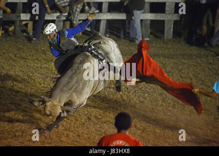 A bull rider balances on the back of a bucking bull in the ring of the Nicoya bull riding festival in Nicoya, Costa Rica. Stock Photo