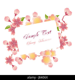 flower plant bloom blossom flourish flourishing spring cherry japan frame Stock Photo