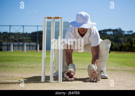 Wicketkeeper holding ball behind stumps against blue sky on sunny day Stock Photo